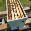 Picture of Nuc Box - 5 Frame