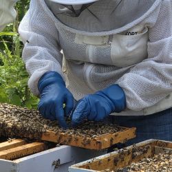 Picture for category Services